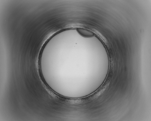 X0000111610893200908071328