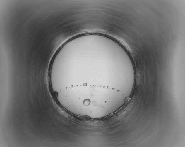 X0000111610895200908071328