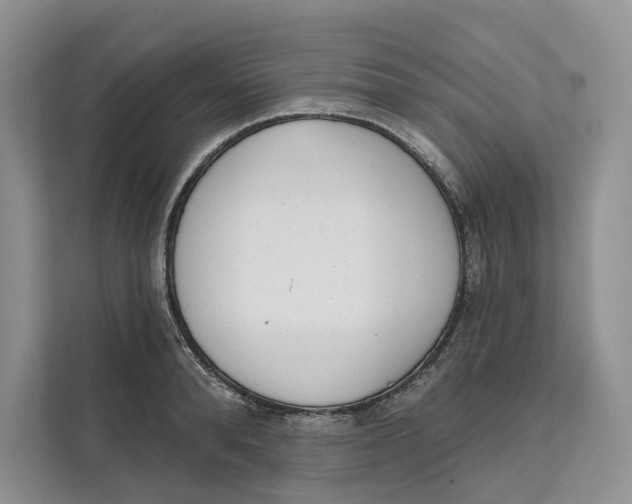 X0000111610896200908071328