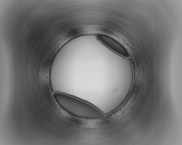 X0000111610897200908071328