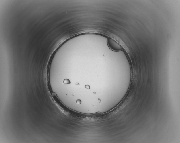 X0000111610898200908071328