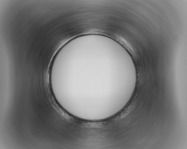 X0000111610900200908071328