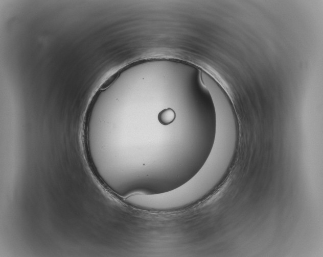 X0000111610901200908071328