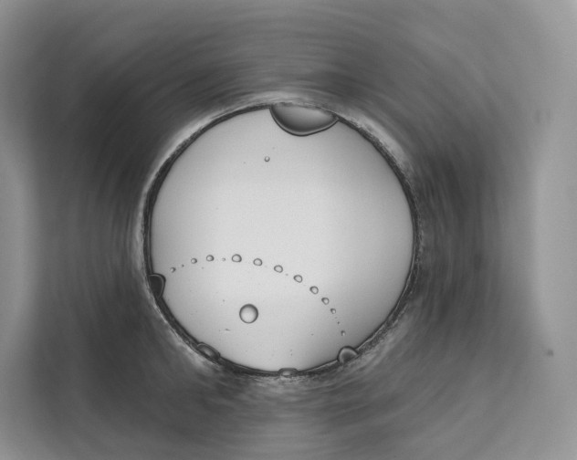 X0000111610902200908071328