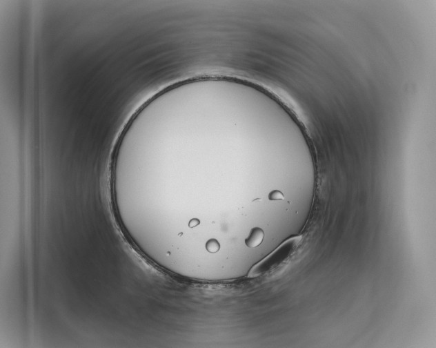 X0000111610903200908071328