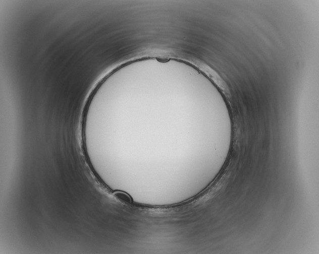 X0000111610904200908071328