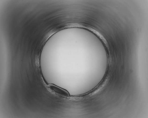 X0000111610905200908071328