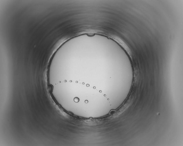 X0000111610906200908071328