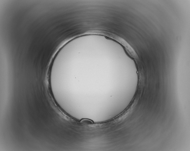 X0000111610908200908071328