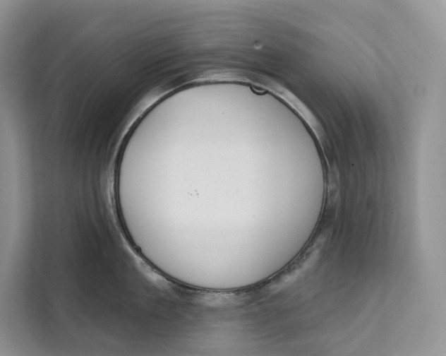 X0000111610909200908071328