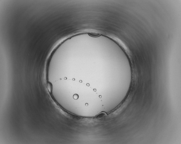 X0000111610910200908071328