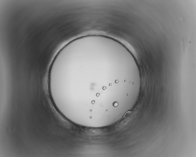 X0000111610911200908071328