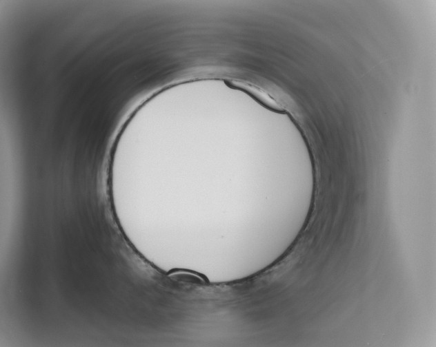 X0000111610912200908071328