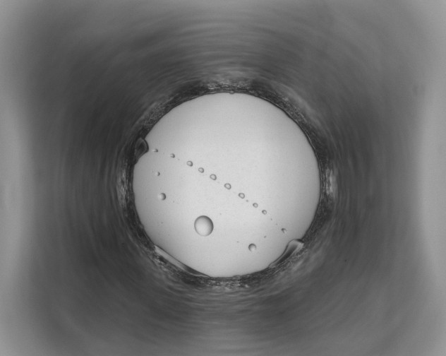 X0000111610915200908071327