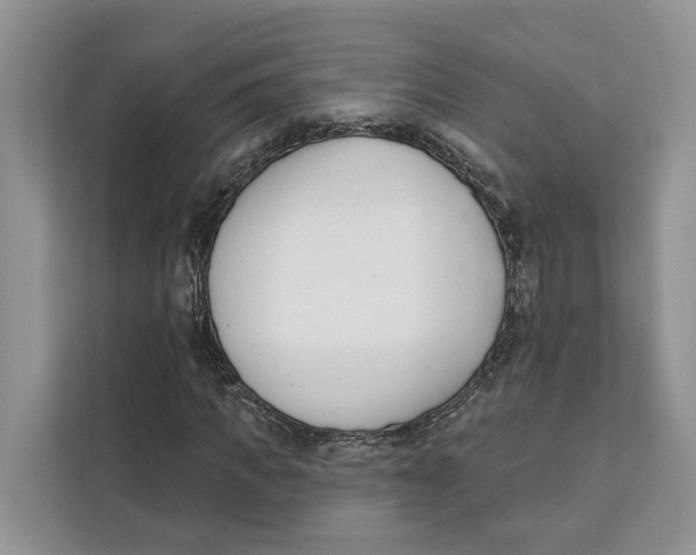 X0000111610917200908071327