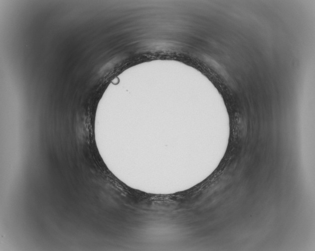 X0000111610918200908071327