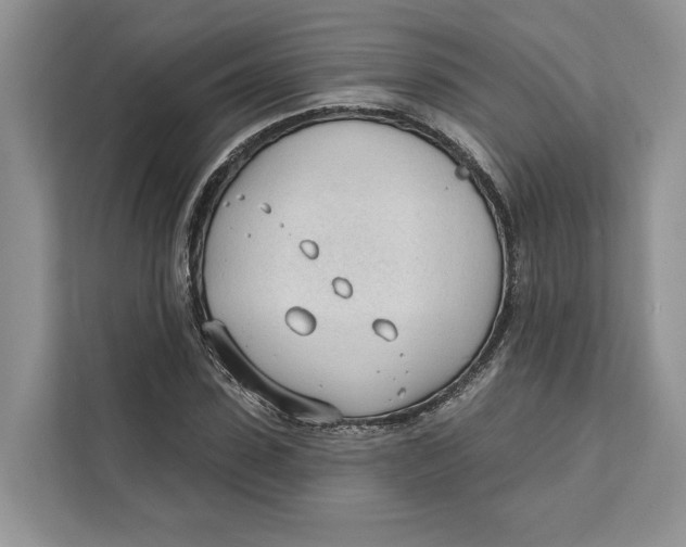 X0000111610923200908071328