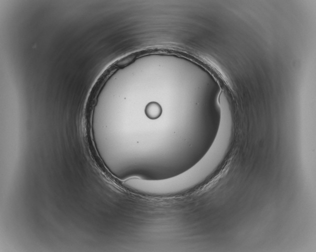 X0000111610924200908071328