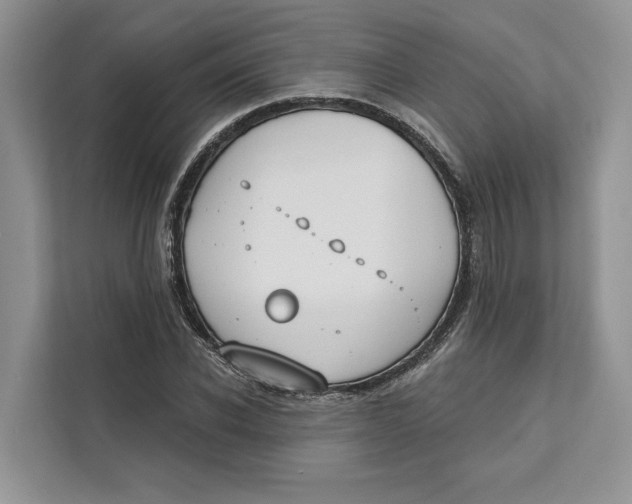 X0000111610926200908071328