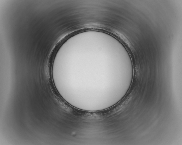 X0000111610931200908071328