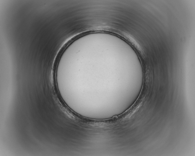 X0000111610932200908071328