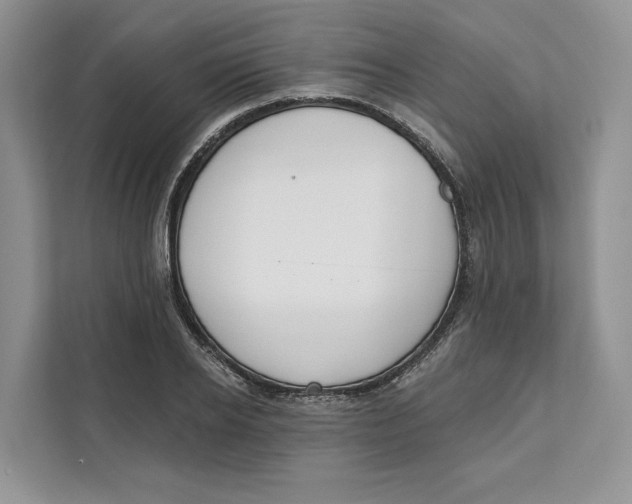 X0000111610934200908071328