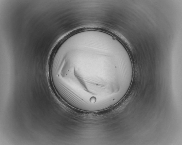 X0000111610935200908071328