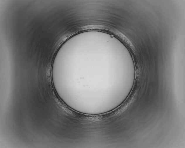 X0000111610937200908071328