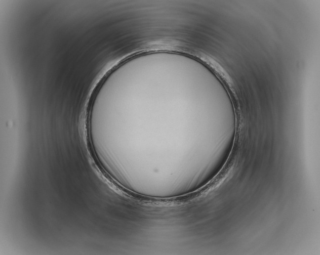 X0000111610941200908071328