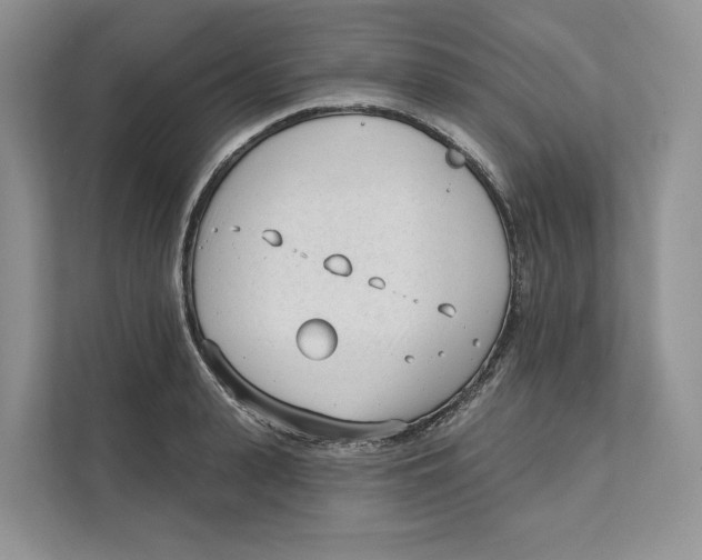 X0000111610943200908071328