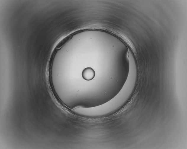 X0000111610944200908071328