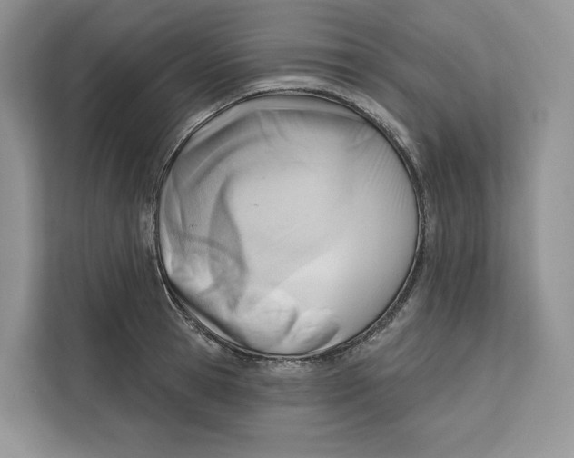 X0000111610945200908071328