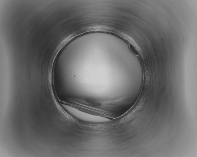 X0000111610946200908071328