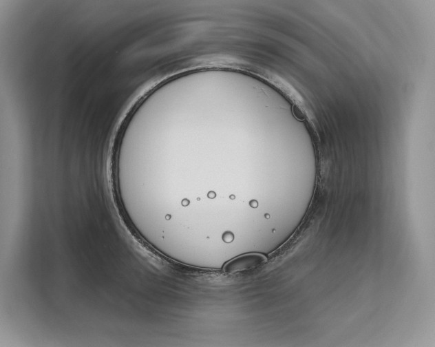 X0000111610947200908071328