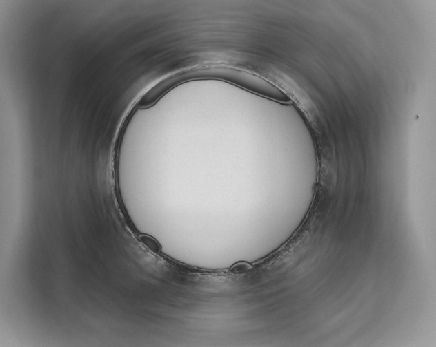 X0000111610948200908071328