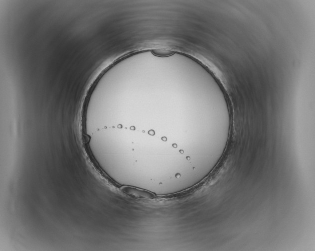 X0000111610949200908071328