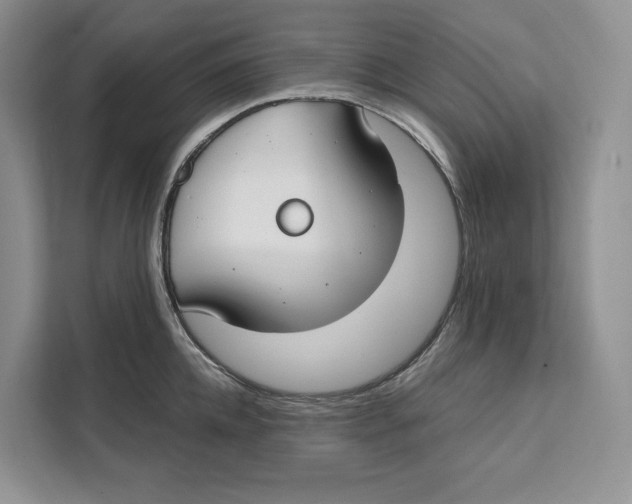 X0000111610952200908071328