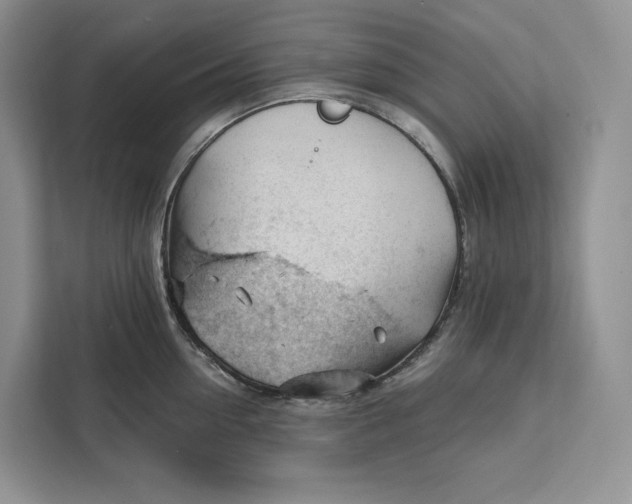 X0000111610954200908071328