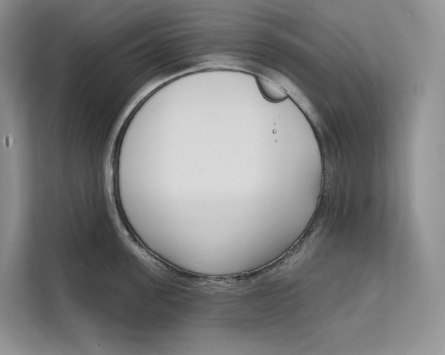 X0000111610955200908071328