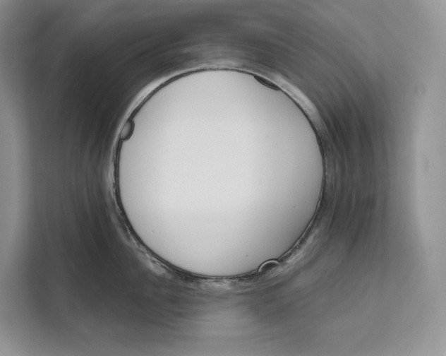 X0000111610956200908071328