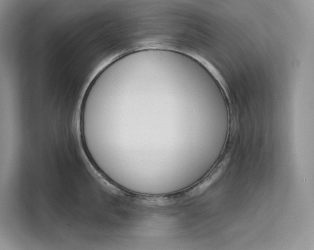 X0000111610957200908071328