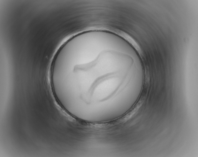 X0000111610958200908071328