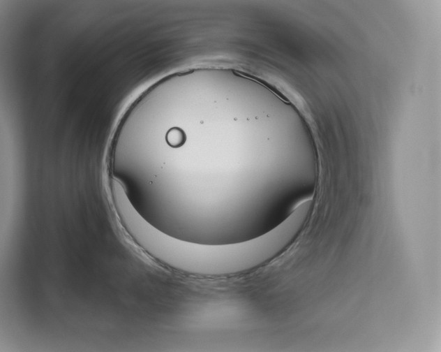 X0000111610960200908071328