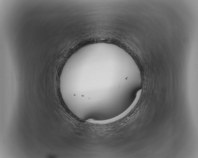 X0000111610961200908071327