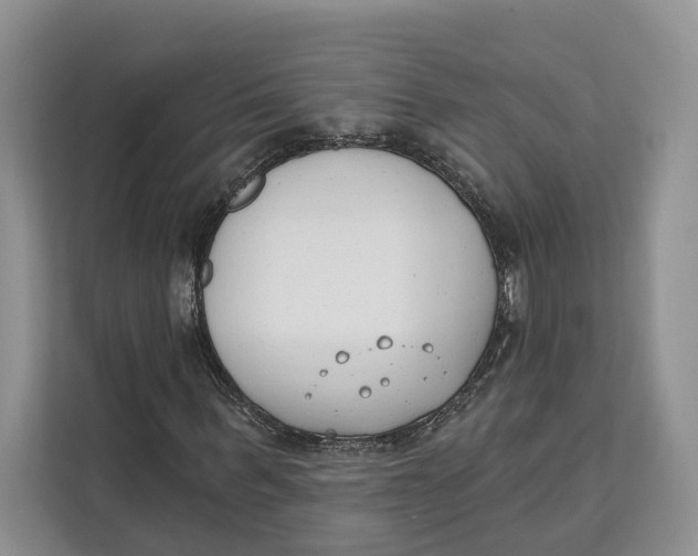 X0000111610963200908071327