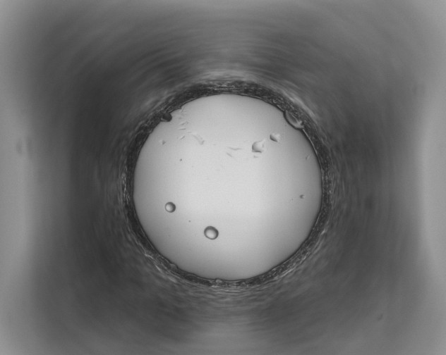 X0000111610965200908071327