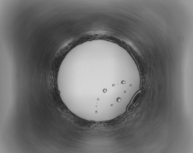 X0000111610967200908071327