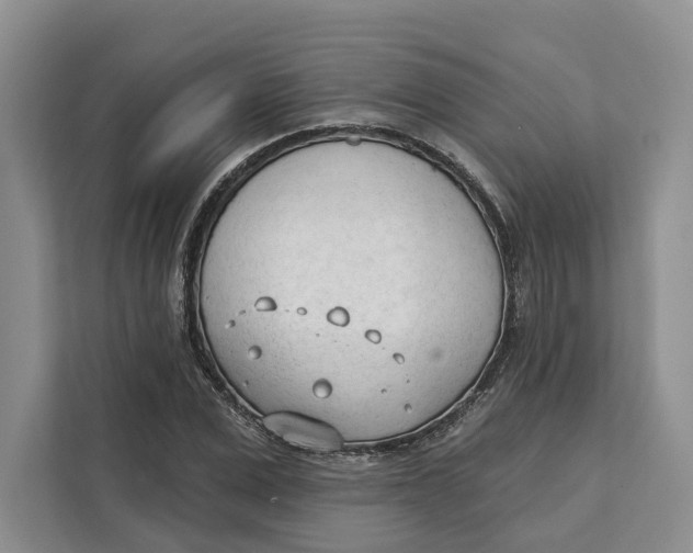 X0000111610975200908071327