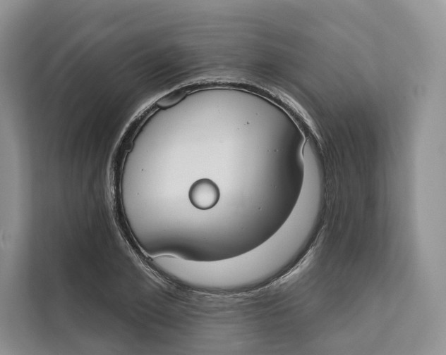 X0000111610981200908071327