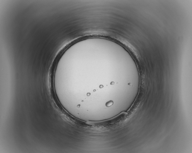 X0000111610983200908071327